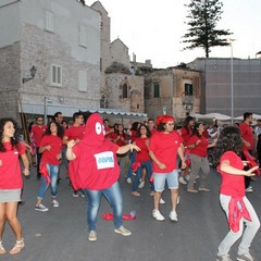 Flash mob dell'Avis sul porto di Trani