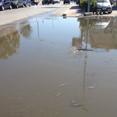 Salta la fogna in via Barletta a Trani