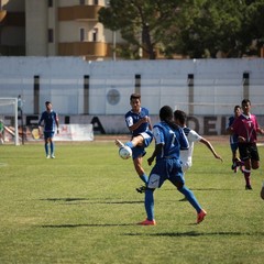 Bisceglie - Fortis Trani