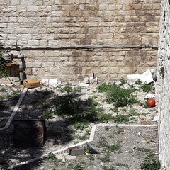 Il fossato del Castello di Trani come discarica