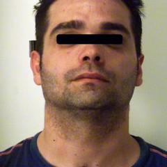 L'arrestato Giulio Vitolano