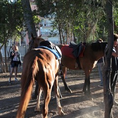 Inaugurazione del parco di villa Bini