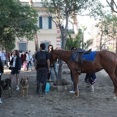 Inaugurazione del parco di villa Bini