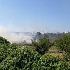 Incendio di sterpaglie al quartiere Stadio