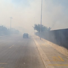 Incendio di sterpaglie al quartiere Stadio