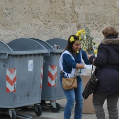 Raccolta differenziata dell'umido all'interno del cimitero di Trani