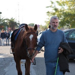 Manifestazione in difesa dell'ospedale di Trani