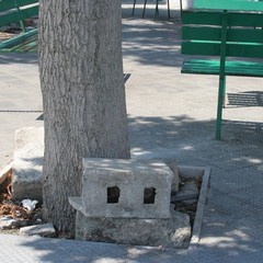 Marciapiede rotto a Colonna