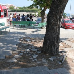 Marciapiede rotto a Colonna