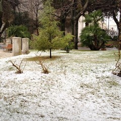 Maltempo a Trani, neve e ghiaccio sulle strade