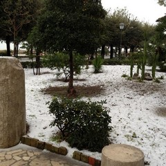 Maltempo a Trani, neve e ghiaccio sulle strade