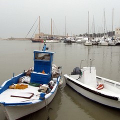 Maltempo a Trani, neve e ghiaccio sulle strade