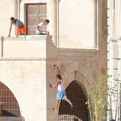 Acrobazie tra le pietre secolari della cattedrale di Trani