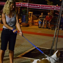 Pet passion 2012