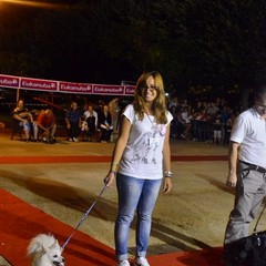 Pet passion 2012