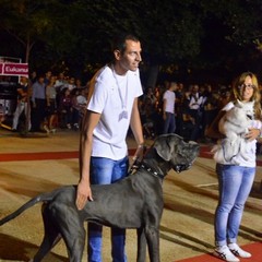 Pet passion 2012