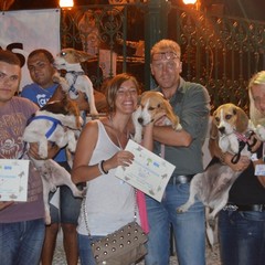 Pet passion 2012