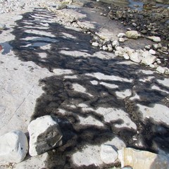 Petrolio scaricato sulla spiaggia "le conche" a Trani