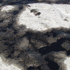 Petrolio scaricato sulla spiaggia "le conche" a Trani