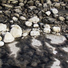 Petrolio scaricato sulla spiaggia "le conche" a Trani