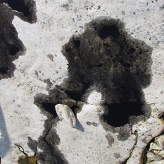 Petrolio scaricato sulla spiaggia "le conche" a Trani