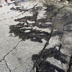 Petrolio scaricato sulla spiaggia "le conche" a Trani