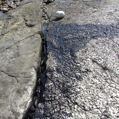 Petrolio scaricato sulla spiaggia "le conche" a Trani