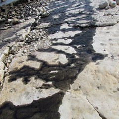Petrolio scaricato sulla spiaggia "le conche" a Trani