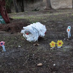 Presepe "ecosostenibile" realizzato da Asi all'interno del parco di Villa Bini