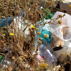 Discarica alla seconda spiaggia