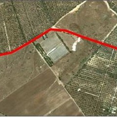 Planimetria dei lavori sulla Andria - Bisceglie