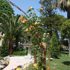 Edizione 2012 di "Villa in fiore"