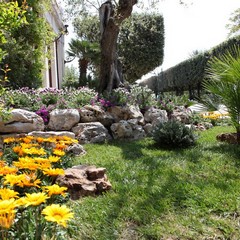 Edizione 2012 di "Villa in fiore"