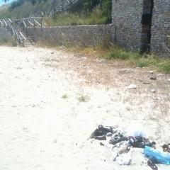 1008509 10151656847439555 117050747 o