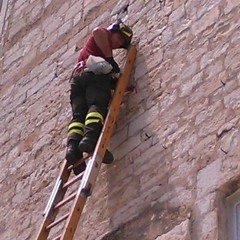 Rondine si incastra su Palazzo Caccetta