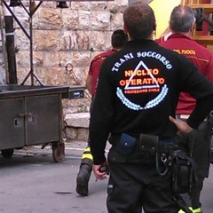 Rondine si incastra su Palazzo Caccetta