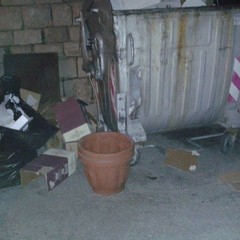 Rifiuti, la proposta di Andrea Moselli