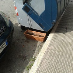 Rifiuti, la proposta di Andrea Moselli