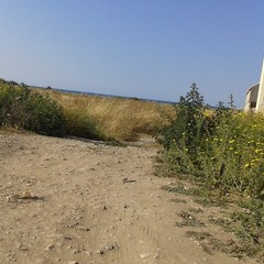 Degrado a Spiaggia San Marco: accesso al mare bloccato e rifiuti