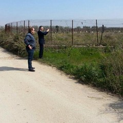 Rifiuti nell'agro di trani