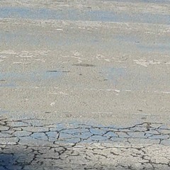 Strisce pedonali invisibili