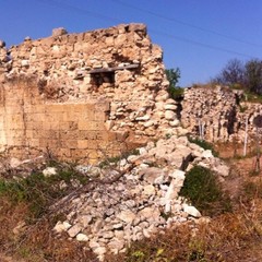 Rifiuti nell'agro di trani