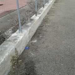 1794619 10202828338661087 986000166 n