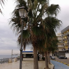 Lungomare di Trani: i problemi di sempre