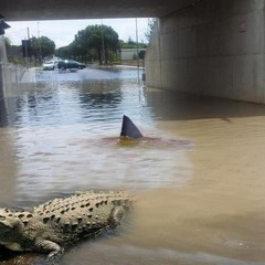 Fotomontaggio mania su Facebook