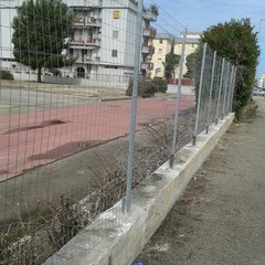 579204 10202828339261102 859838894 n