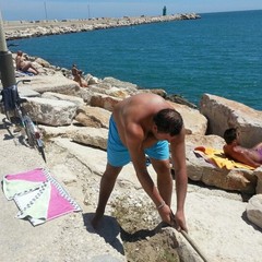 I tifosi del Trani puliscono il molo del porto
