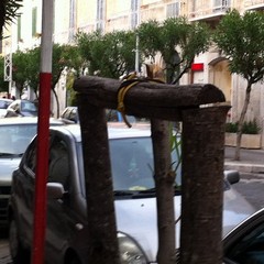 Albero spezzato su corso Cavour