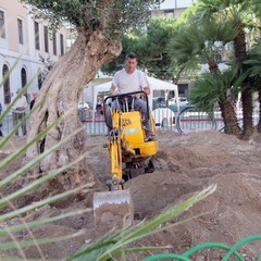 Piantumazione albero centenario in piazza piazza Natale D’Agostin