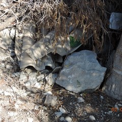 Amianto, le foto scattate dalla Folgore